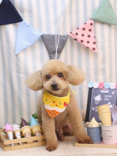 20250515のえるくん